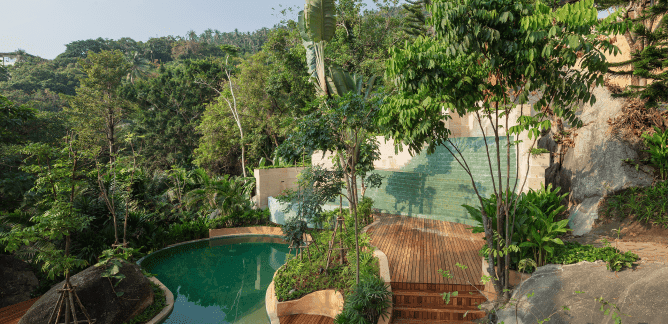 Picture of a magnificent forest landscape in Samui